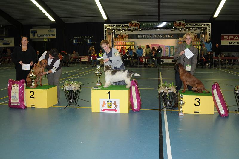 kerstshow 2008 055.jpg